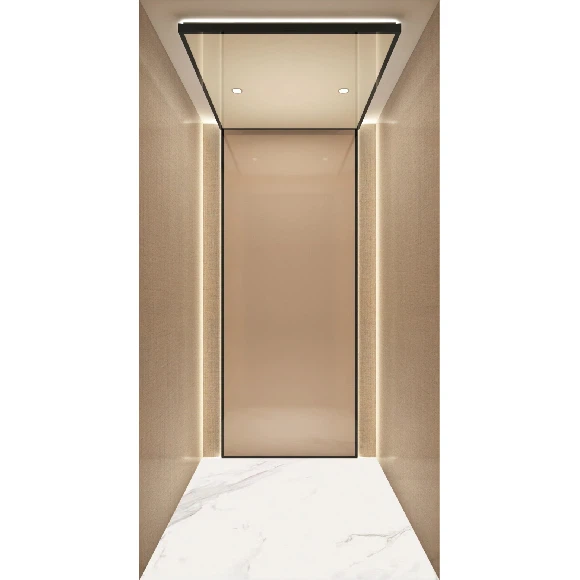 Concise Single Person Elevator For Home